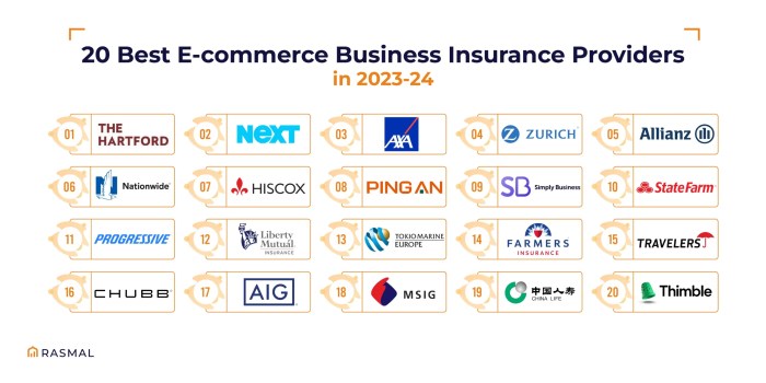 20 Best E-commerce Business Insurance Providers - Rasmal