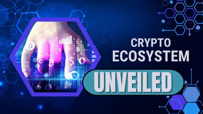 What is A Crypto Ecosystem and What Are its Uses and Benefits?