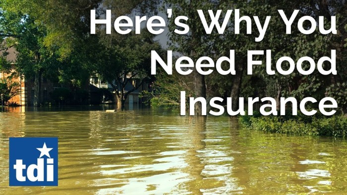 Flood insurance