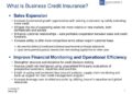 PPT - Managing Trade Risk and Business Credit Insurance PowerPoint ...